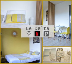 Le Delta - Centre CHU - parking privé - Netflix